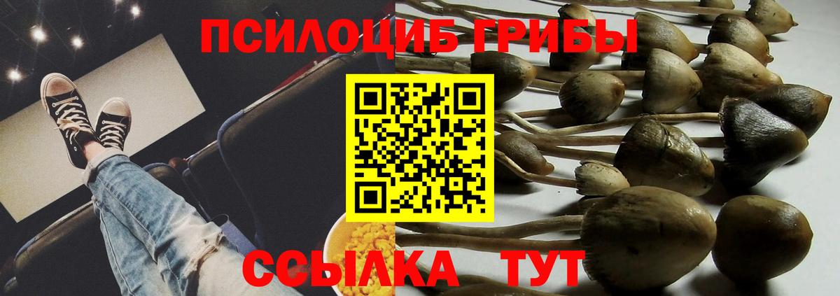 Псилоцибиновые грибы прущие грибы Лангепас
